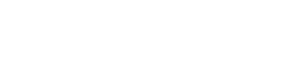 Control-P Informática
